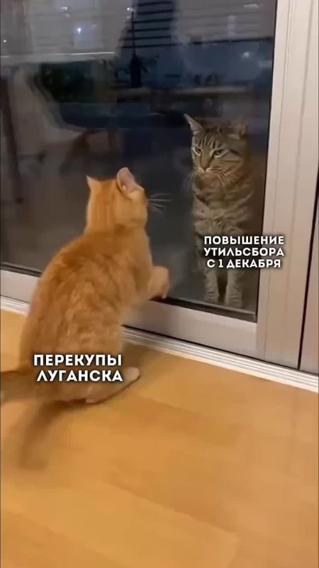 , !.          ,   ! ,   1    160     