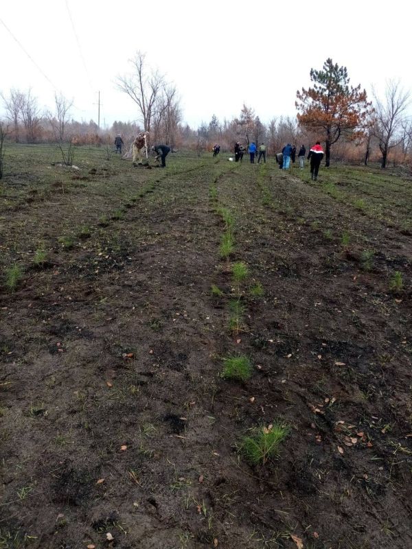 ������ �������: ���������� ��������������� ��������� ������ �� ���������� ��������������� ������������ �������� ������� �������� � ����� ������ ���������