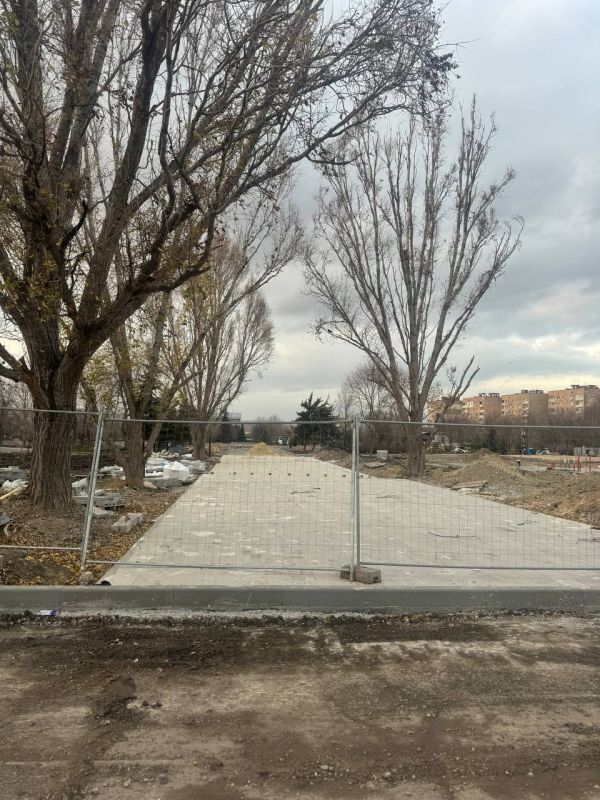 ���� ������� ����� ����� �� 50%