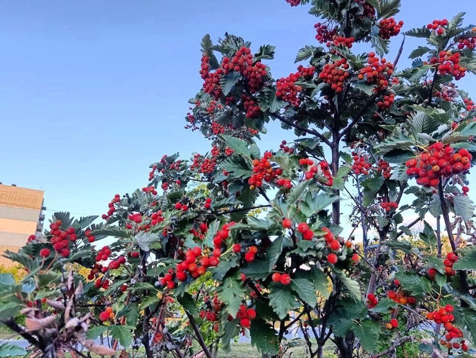 С добрым утром, кировчане!