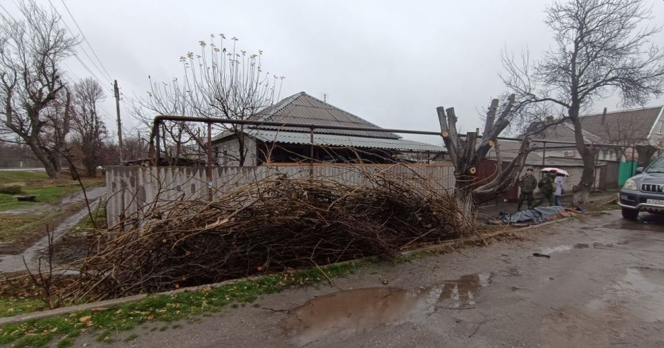 Экологи регулярно контролируют соблюдение Правил благоустройства