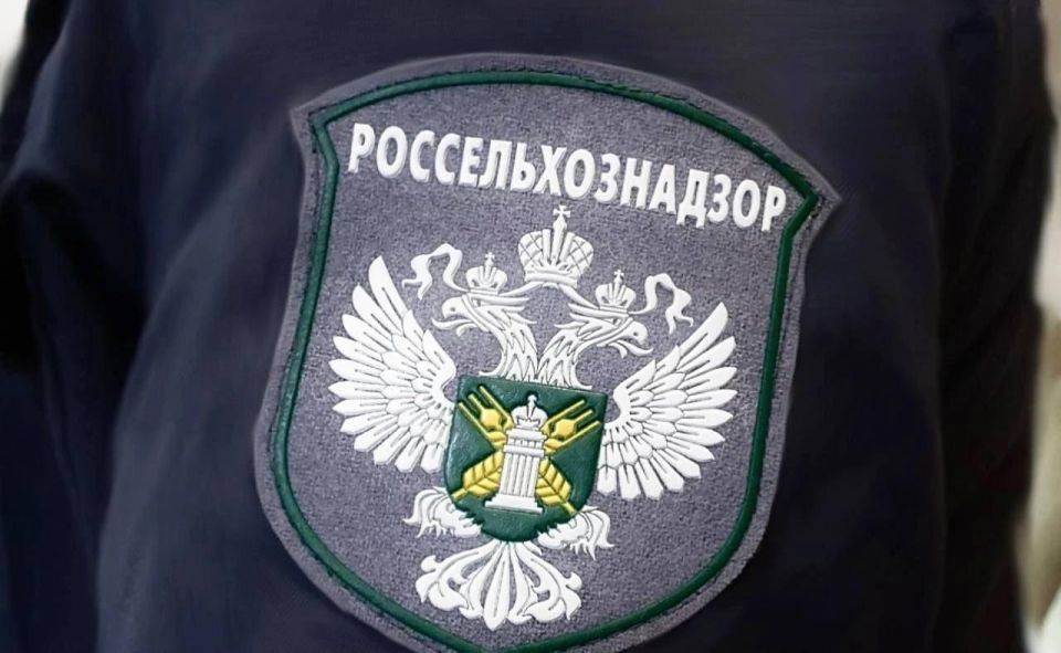 ���������������� ������������ �������� �� �������������� ���: ����� ��������� ������