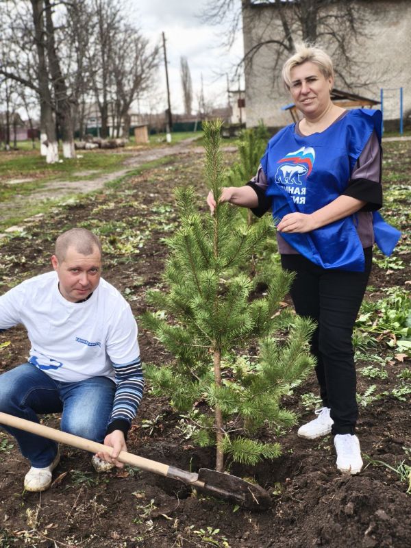 Сторонники партии "ЕДИНАЯ РОССИЯ" высадили саженцы деревьев
