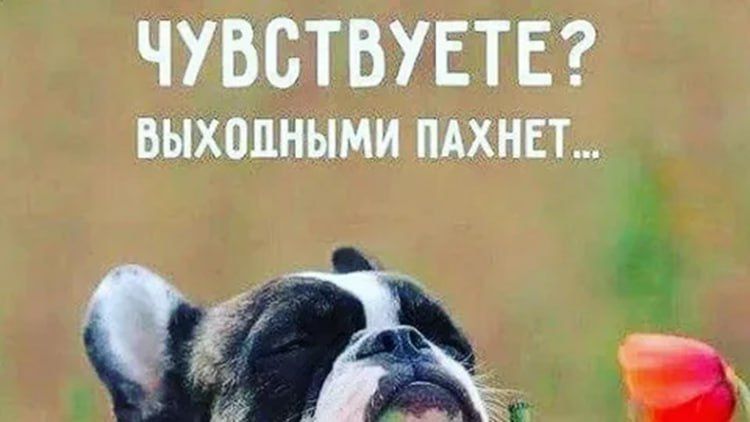 �������� ���� �������� �� ���� ��� ��������, �� � ��� ������ �� ������ � �� ������ ��������