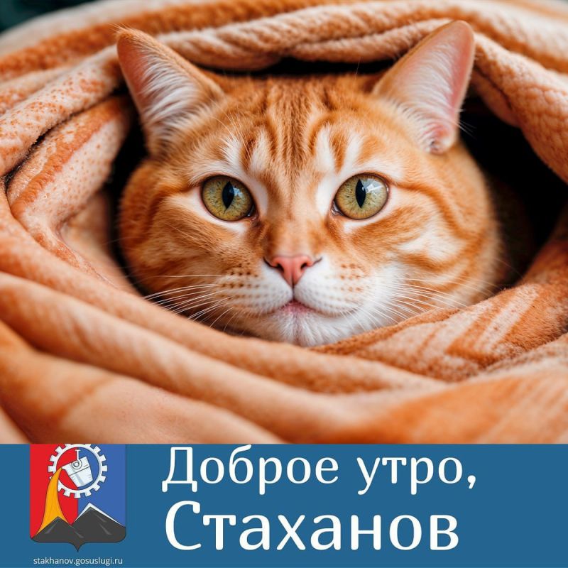 Доброе утро, родной город!