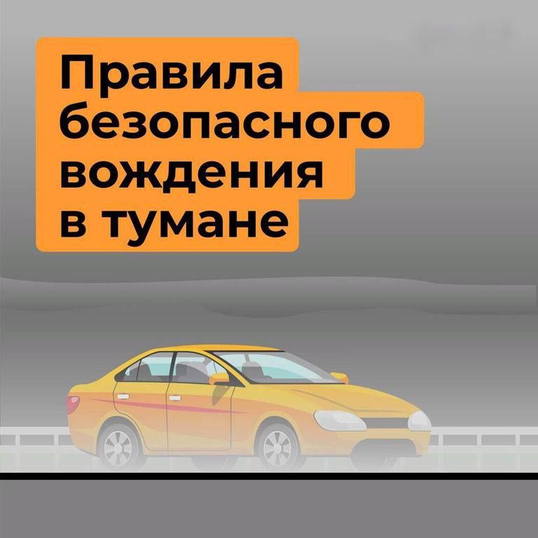 ������ ���� ������ �������������� �����������