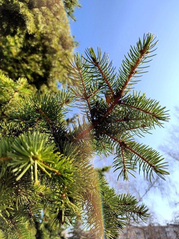 С добрым утром, кировчане!