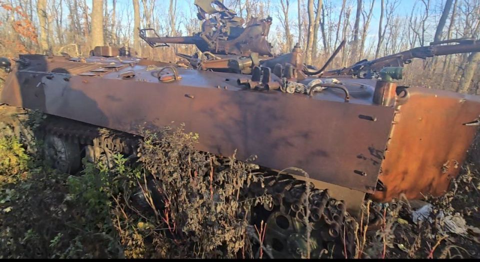  :   ,    (   ,  )  &quot;&quot;       800.000 