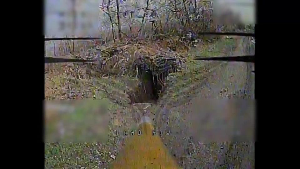  .      |     | c @luganmedia