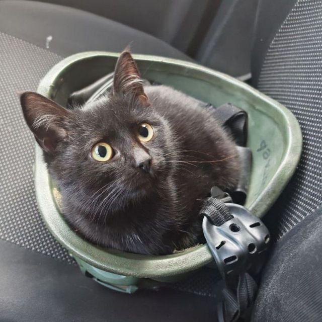 � ��� ��������� ������� ��� � �����