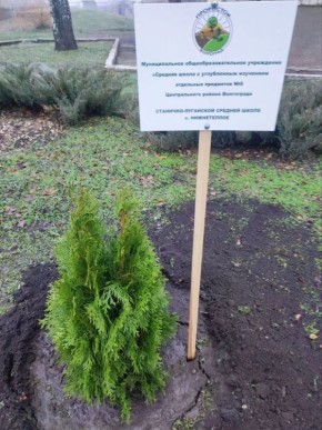 25      8  -  .     ..         ,       ...