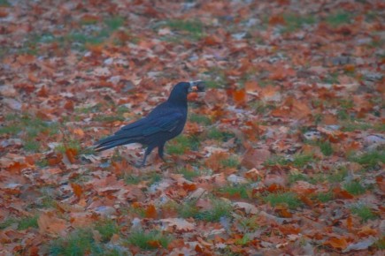   30      2    6   ,      , 