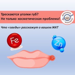         ,    ,         ( -  )