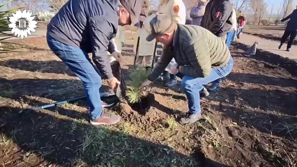 ����� ����������: ��� ����-������ ���������� � ��������� ������ ����-��������� ������ ���������� ������� � ������� ����������� ������� �������� �� ������������ �������� ����� ���������� � ����. ��� ������� � ���...
