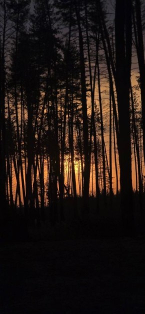   2      2    5    ,    ,  , ,       