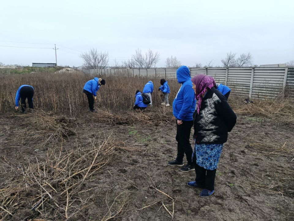 В честь Дня рождения партии единороссы и молодогвардейцы оказали помощь пожилой жительнице поселка Боровское