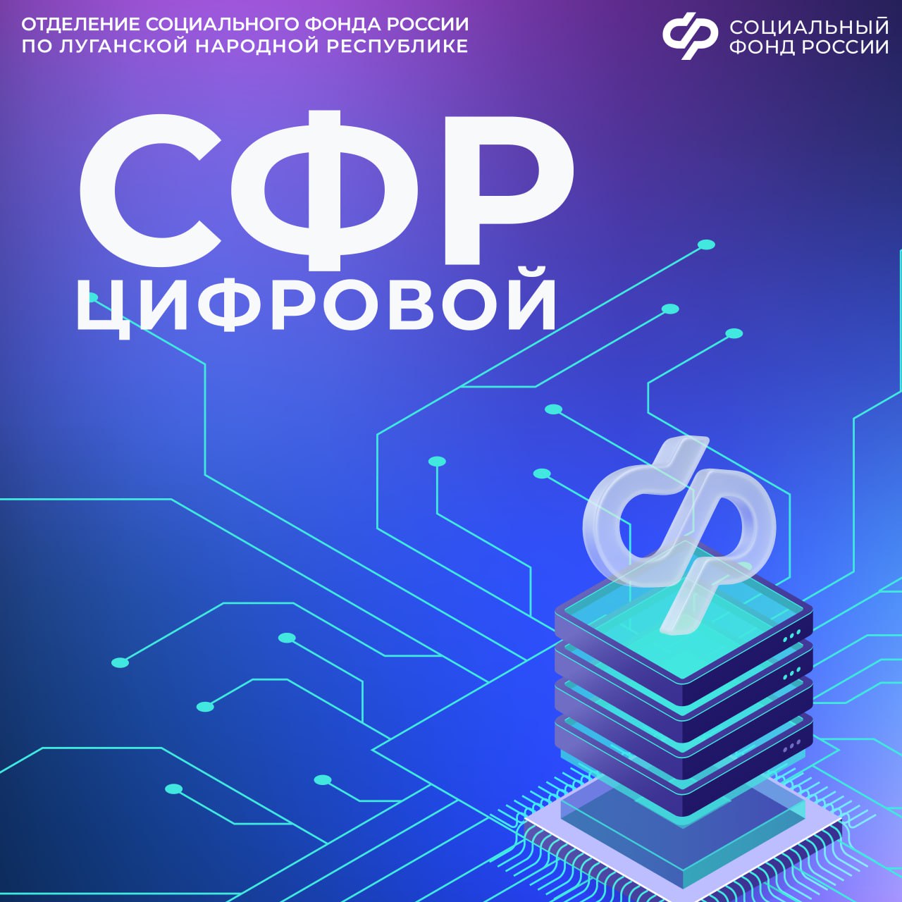 1,7 миллиона россиян предоставили через «Госуслуги» данные для получения выплат