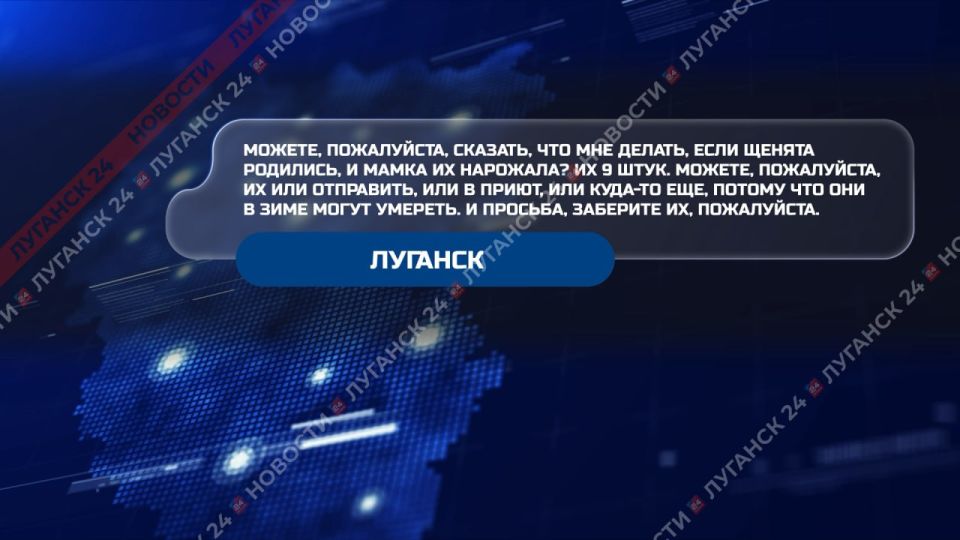 На Прямую Линию с Главой ЛНР поступали не только серьезные вопросы