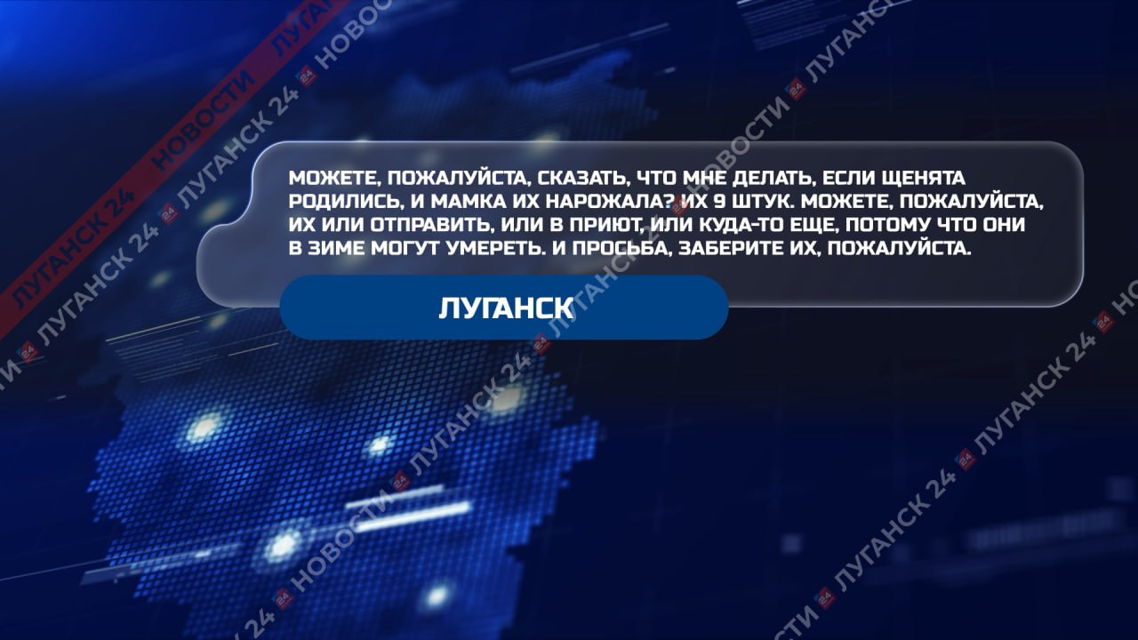 На Прямую Линию с Главой ЛНР поступали не только серьезные вопросы