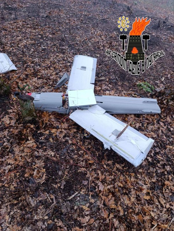 ��� ��� ����!. ��������� ���������� ���, ������������ ������� � ���, ��� �� �� ������ ������������ Starlink �� ���������������� ����