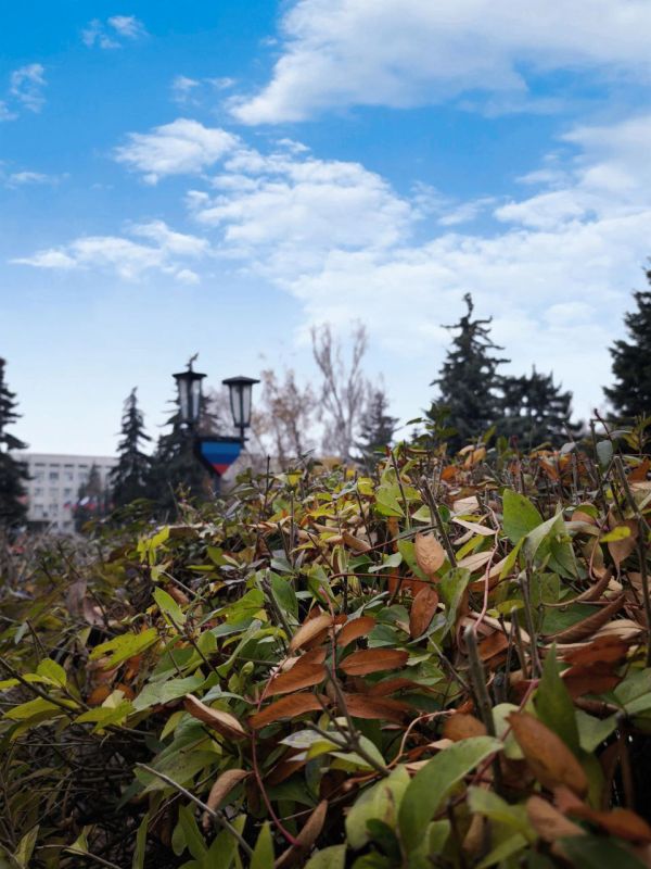 С добрым утром, Кировск!. Пусть этот день будет наполнен радостью и удачей