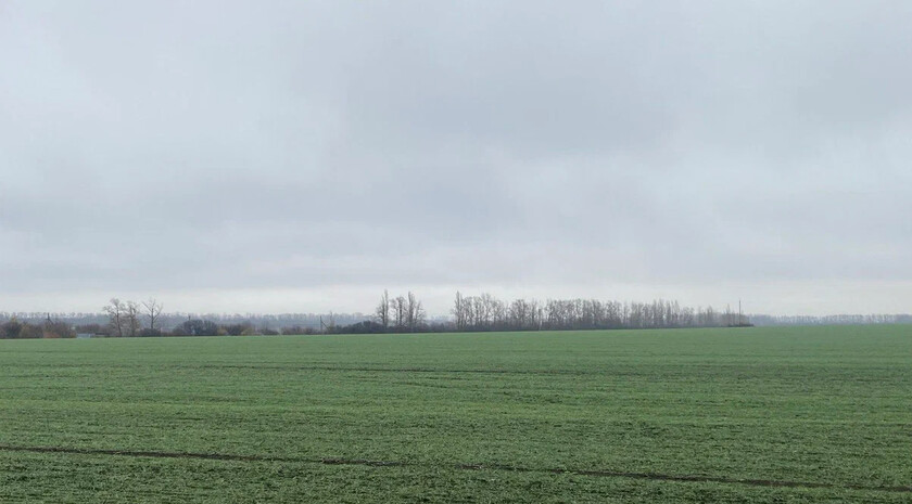 Россельхозцентр оценил состояние озимых в ЛНР