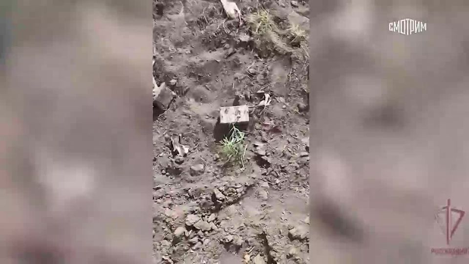 ��������� ������� ������ ���������� ���������� ����� ���������� ������ ���������� ������������ ���, ������� �������� ��������� ����������� ������� � ���