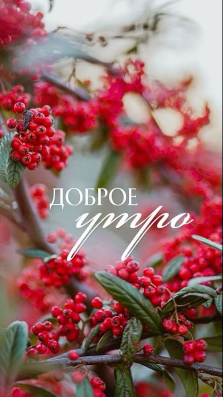 � ������ �����!. ������� 2 �������, ������� ������� � ������:
