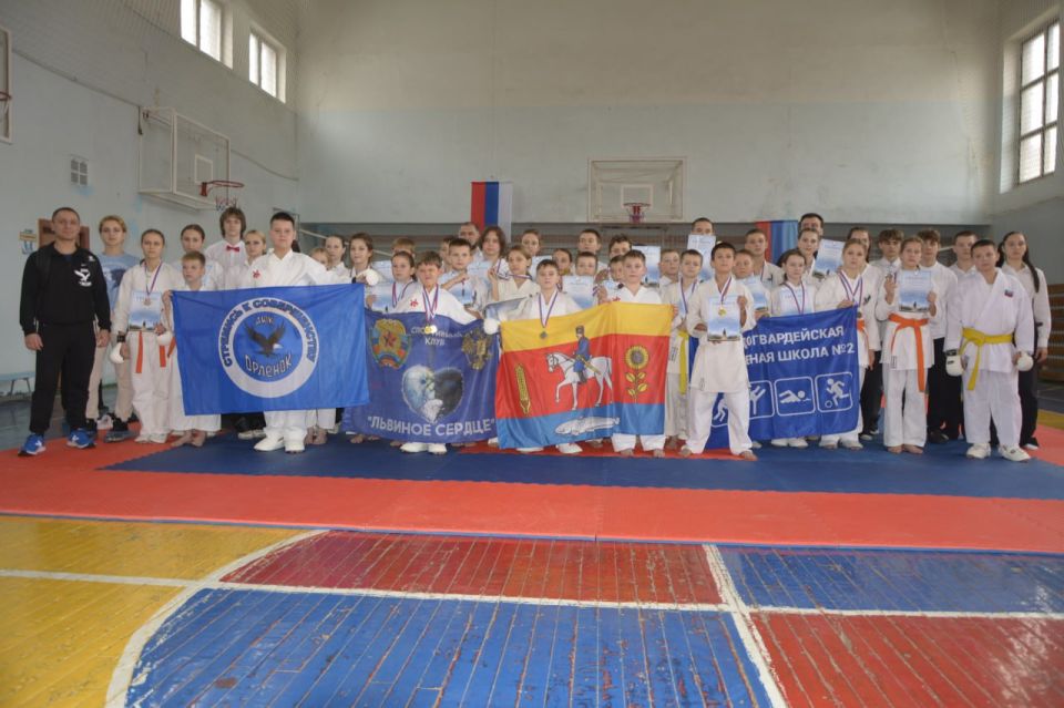 Юные спортсмены Новоайдарского округа одержали очередную победу на соревнованиях по всестилевому каратэ