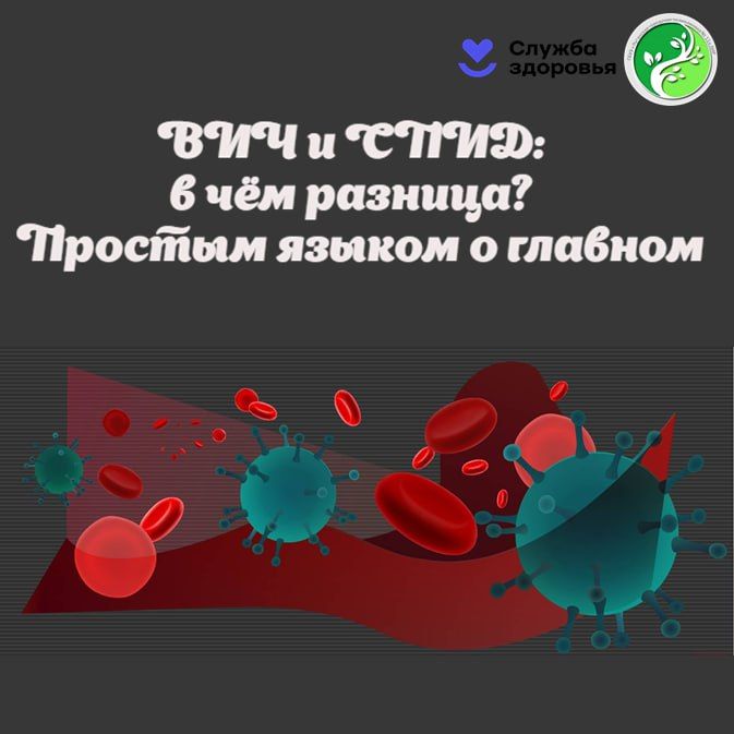 Наш иммунитет — сложнейшая оборонительная система