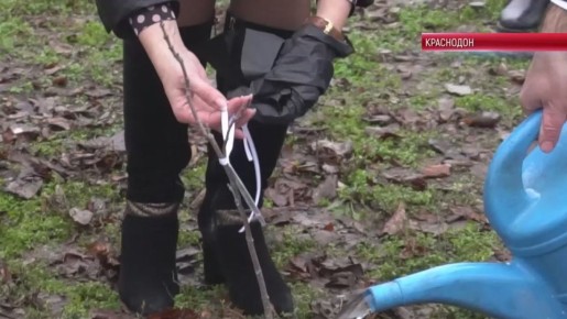 .                   ...