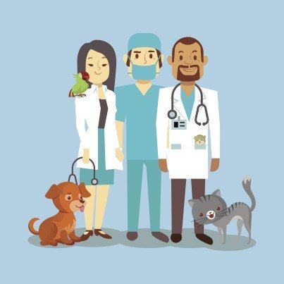 ГБУ ЛНР "Станция по борьбе с болезнями животных города Лисичанска"