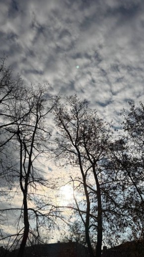   5     5      4  ,       ,    , 