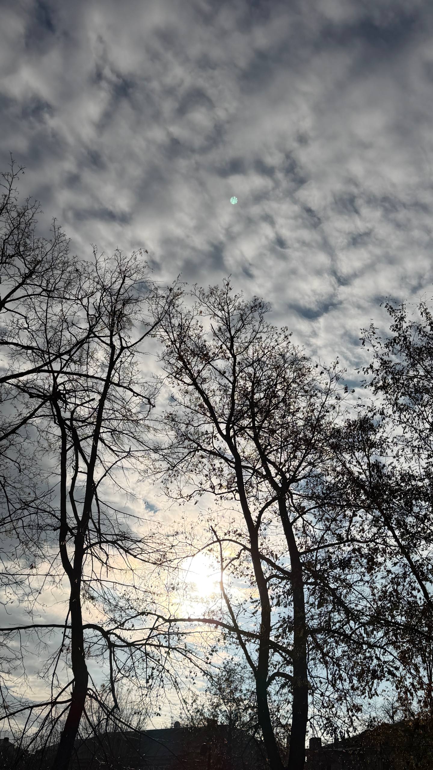 Синоптики прогнозируют 5 декабря в ЛНР от 5 градусов мороза ночью до плюс 4 градусов днем, местами ожидаются небольшой дождь с мокрым снегом, в отдельных районах — туман, гололедица