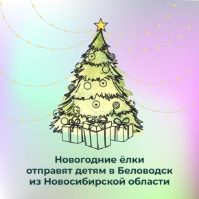 Две большие новогодние ёлки отправят из Новосибирской области детям в Беловодский МО