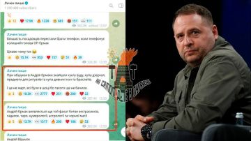 Обыски у главы Офиса Зеленского Ермака выявили оккультный арсенал