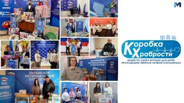 Предприятия Минцифры ЛНР приняли участие в акции «Коробка храбрости»