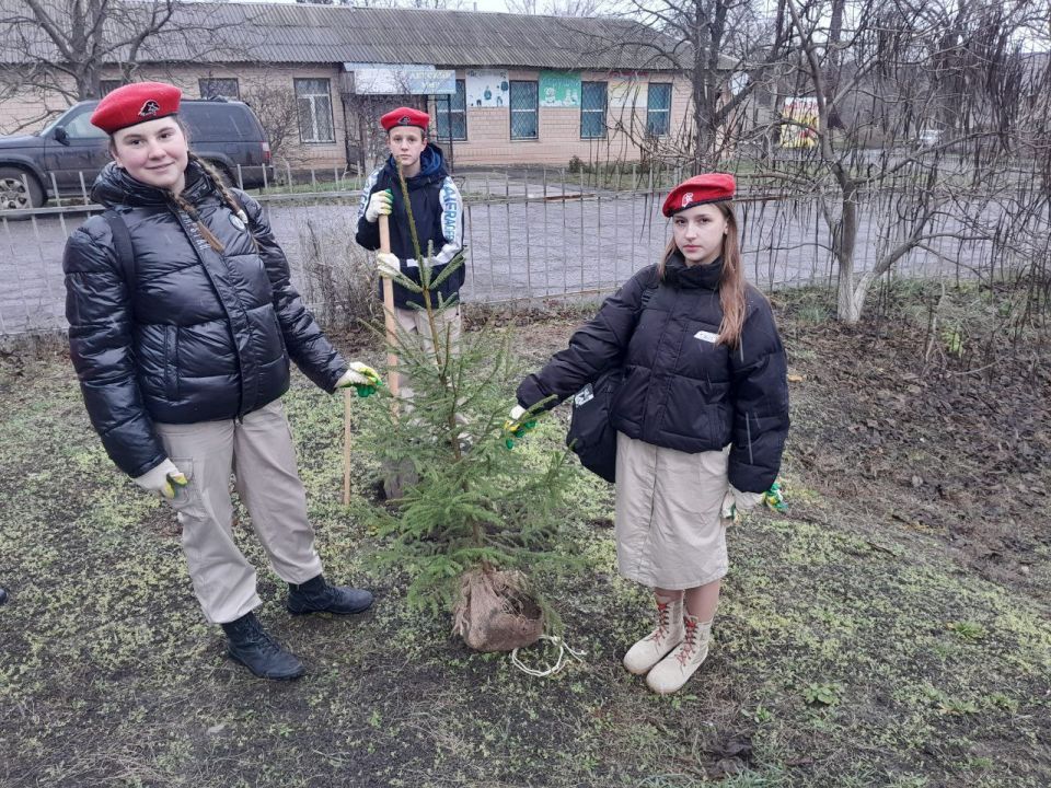 ������� ���������� ���� �����������, ��������������� �������� ���������, ����������� ��������������� � ���������� � �����