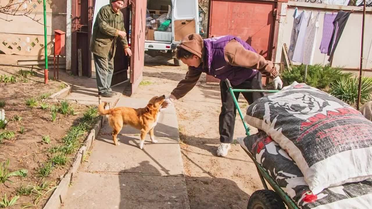 Волонтеры, с праздником!. Сегодня Международный день добровольцев