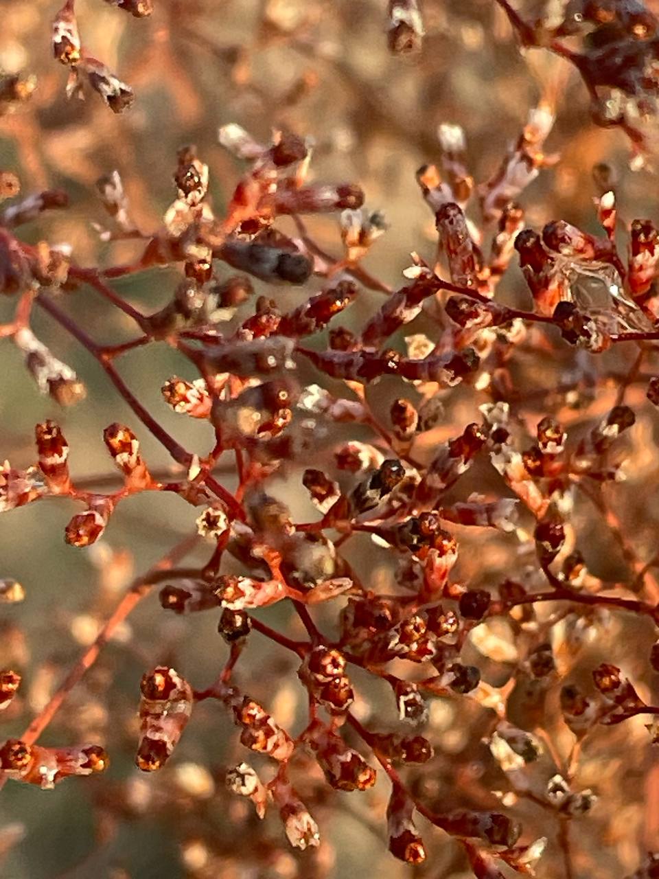 6 декабря на территории Луганской Народной Республики будет облачно с прояснениями