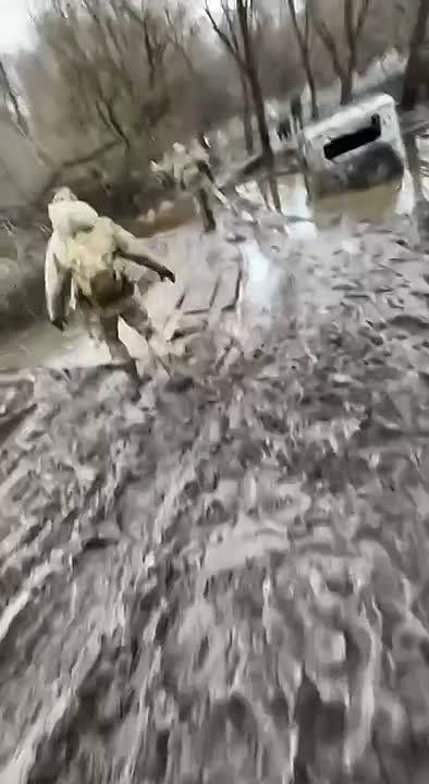 ���������� �� ���������. ������ ����� ������ �������� ������, ����� ��������� �������� ��� ������