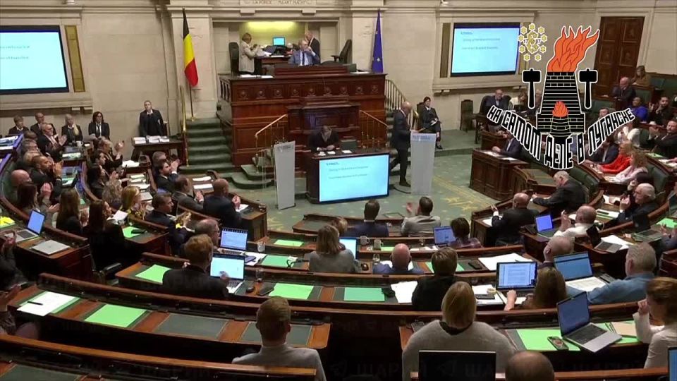 В ЕС не поделили украденные российские активы