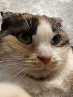 7 декабря на территории Луганской Народной Республики будет облачно с прояснениями