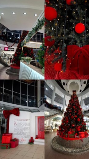 Декабрьское утро пахнет хвоей и надеждой, приглашая в новую сказку