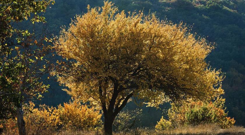 Национальный парк «Святые горы» будет создан на территории Лисичанска, а также трех муниципальных округов ДНР