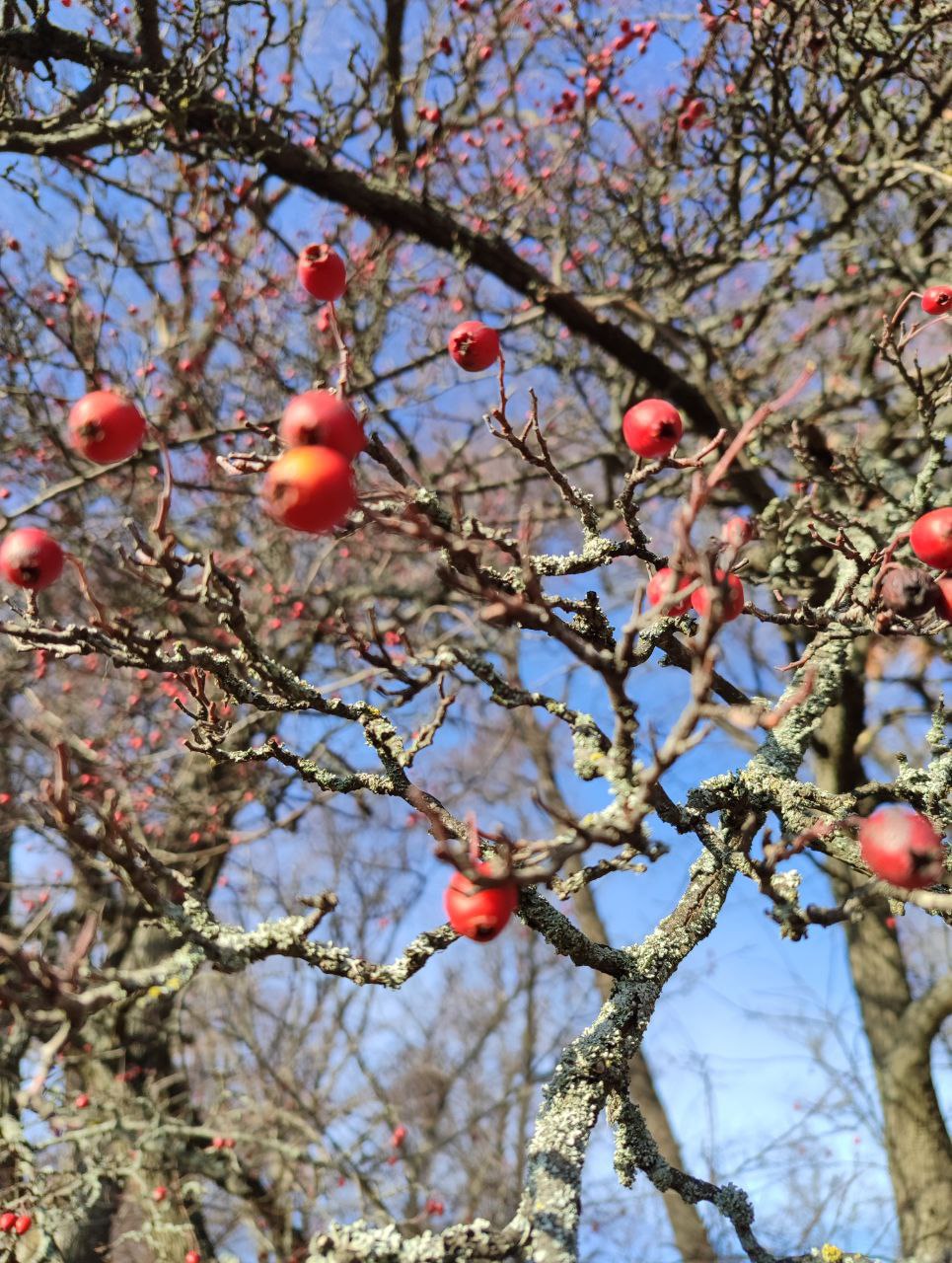 Доброе утро!. Воскресенье, 7 декабря Ночь (00:01–06:00): Пасмурно, около +1°C