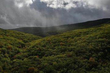 Погода на новых территориях России