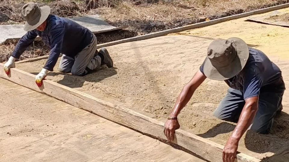 �������� �����������: 2025: ����� ���������� ���� ���