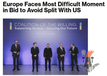 Европа стремится убедить Зеленского не выводить войска с Донбасса без гарантий безопасности США — Bloomberg