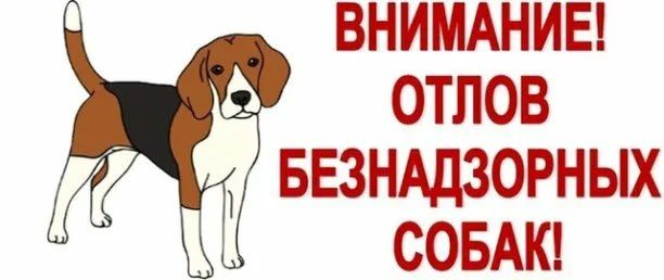 �������������� �������� ���������� ����������� �� ������ �������� ��� ����������